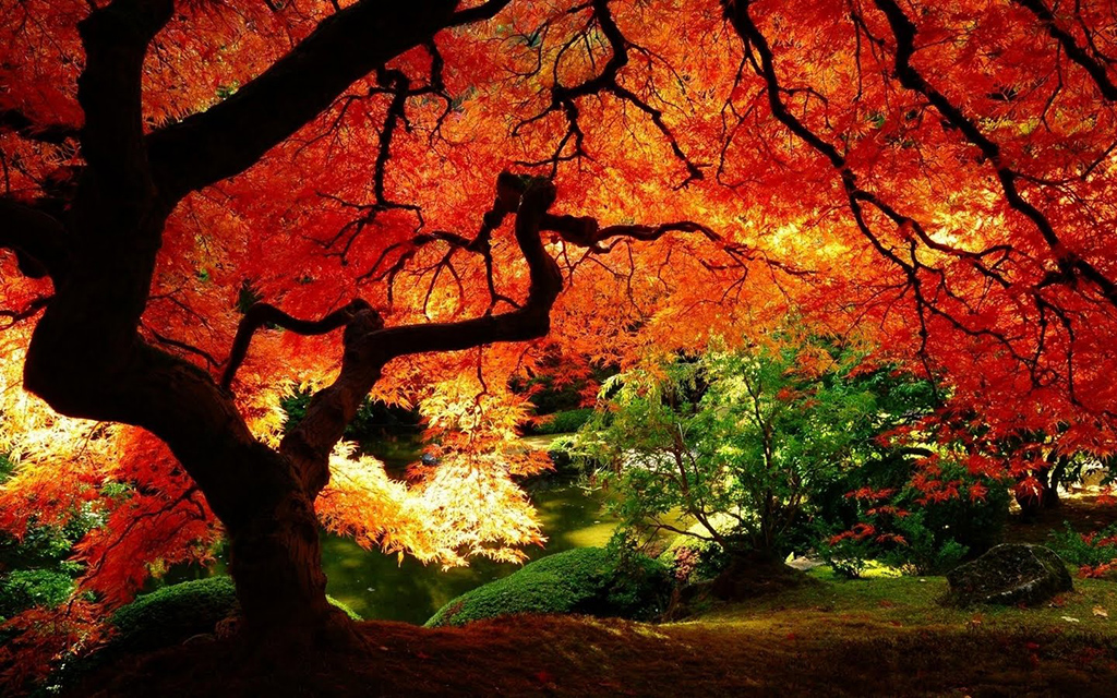 Fall Hiking